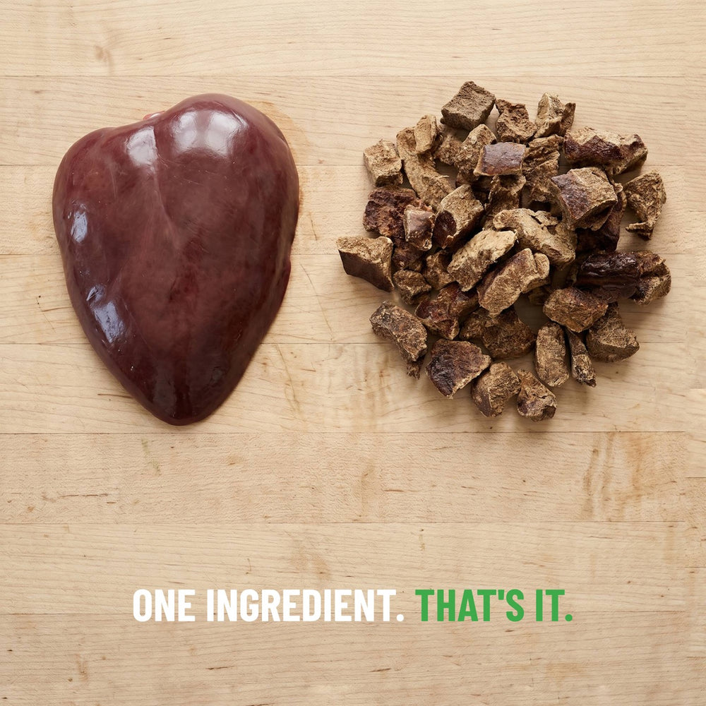Freeze-Dried Bison Liver Dog Treats 3-Pack