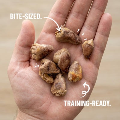 Freeze-Dried Chicken Heart Dog Treats
