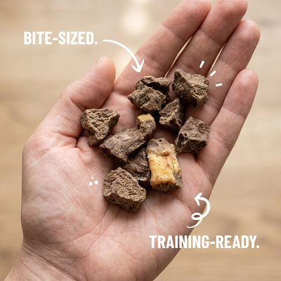Freeze-Dried Beef Heart Dog Treats