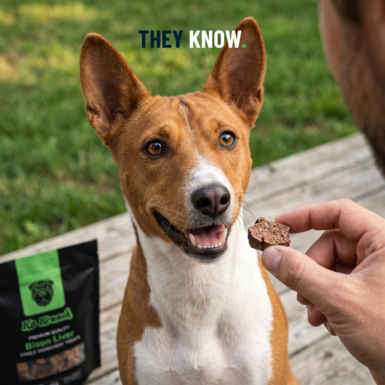 Freeze-Dried Bison Liver Dog Treats