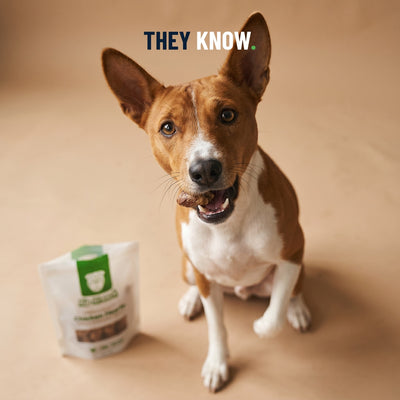 Freeze-Dried Chicken Heart Dog Treats