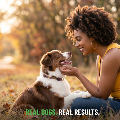 Freeze-Dried Beef Heart Dog Treats