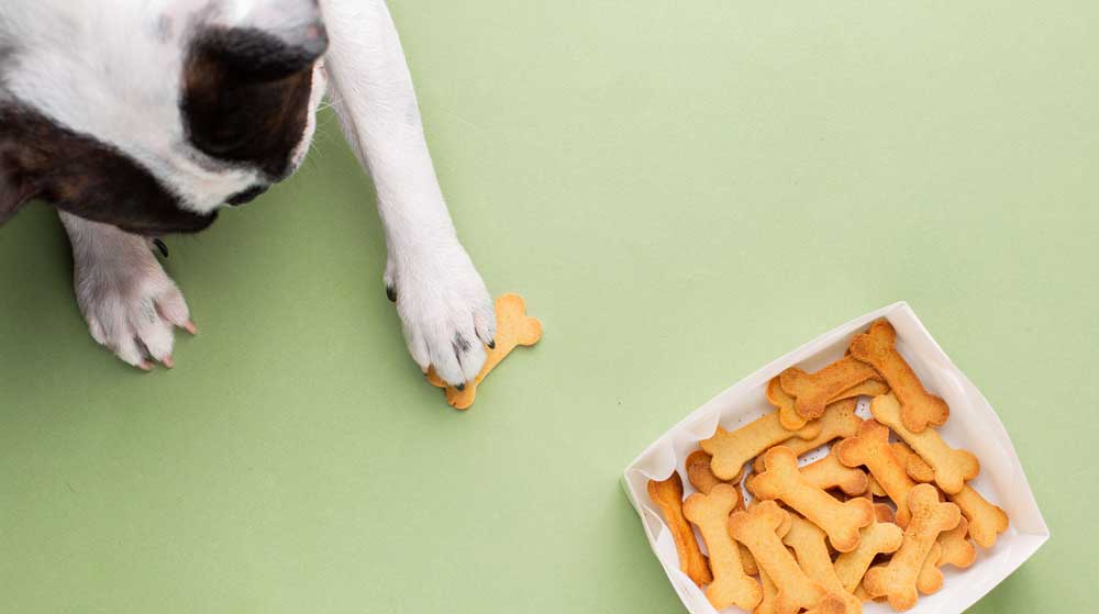 Why Single-Ingredient Treats Are the Best Choice for Your Dog